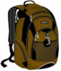 Hot in 2011 Fashion Laptop Backpack