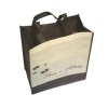 Hot non woven shopping bag for 600d-1500d yarn