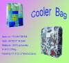 Hot sale cooler case