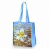 Hot sales PP Non Woven shopping Bag (glt-a0033)