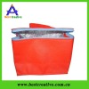 Hot sell new food carrier box cooler bag