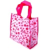 Hottest design non woven shopping bag