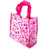 Hottest design non woven shopping bag