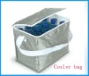 Household OEM special home used fabric hard cooler bag