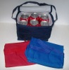 INSULATED COOLER BAG WITH CARRY STRAP 6-PACK CANS