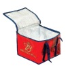 Ice Cooler Bag For Wine CB2