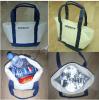 Ice bag/cooler bag