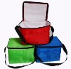 Insulated 210D/PU cooler bags