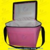 Insulated Bag - 12 Pack