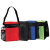 Insulated Cooler Bag NonWoven Material Vertical Good for 12 cans