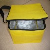 Insulated Cooler Bags