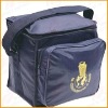 Insulated Cooler bag