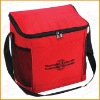 Insulated Cooler bag