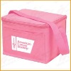 Insulated Cooler bag