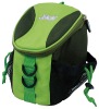 Insulated Cooler bag