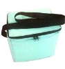 Insulated Cooler bag, bottle cooler bag