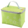 Insulated Picnic Bag