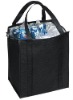 Insulated Shopping Bag