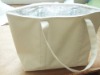 Insulated Shopping Cooler Bag
