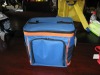 Insulated cooler bag