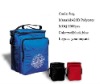 Insulated cooler bag