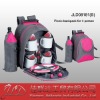 Insulated picnic backpack
