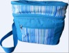 Insulated picnic cooler bag JLD0793