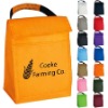 Keep warm non woven lunch bag