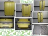 LF8015-2-20'' delicate yellow abs luggage bag/case