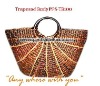 Ladies Fashion Design Handbags