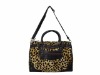 Ladies fashion beauty Hand bag