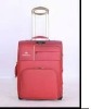 Lady fashion designed Luggage trunk