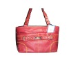 Lady's Hand Bag