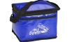 Laminated Non Woven 6 Pack Cooler Bag