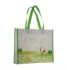 Laminated Non Woven Bag