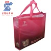 Laminated Nonwoven Shopping Bag