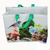 Laminated PP Bag for Shopping