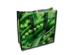 Laminated PP Woven promotional bags