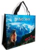 Laminated bag,shopping bag for promotion