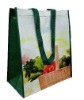 Laminated bag,shopping bag for promotion