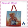 Laminated non woven bag