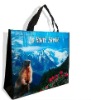 Laminated non woven bag,shopping bag for promotion