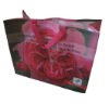 Laminated non-woven shopping bag(N800305)