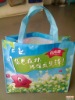 Laminated nonwoven bag