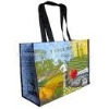 Laminated pp woven shopping bag