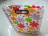 Laminatied New fashion recyclable carrier bag