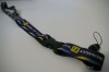 Lanyard