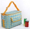 Large cooler bag