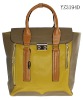 Latest Style Fashion Ladies Handbag