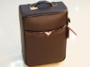 Leather Luggage